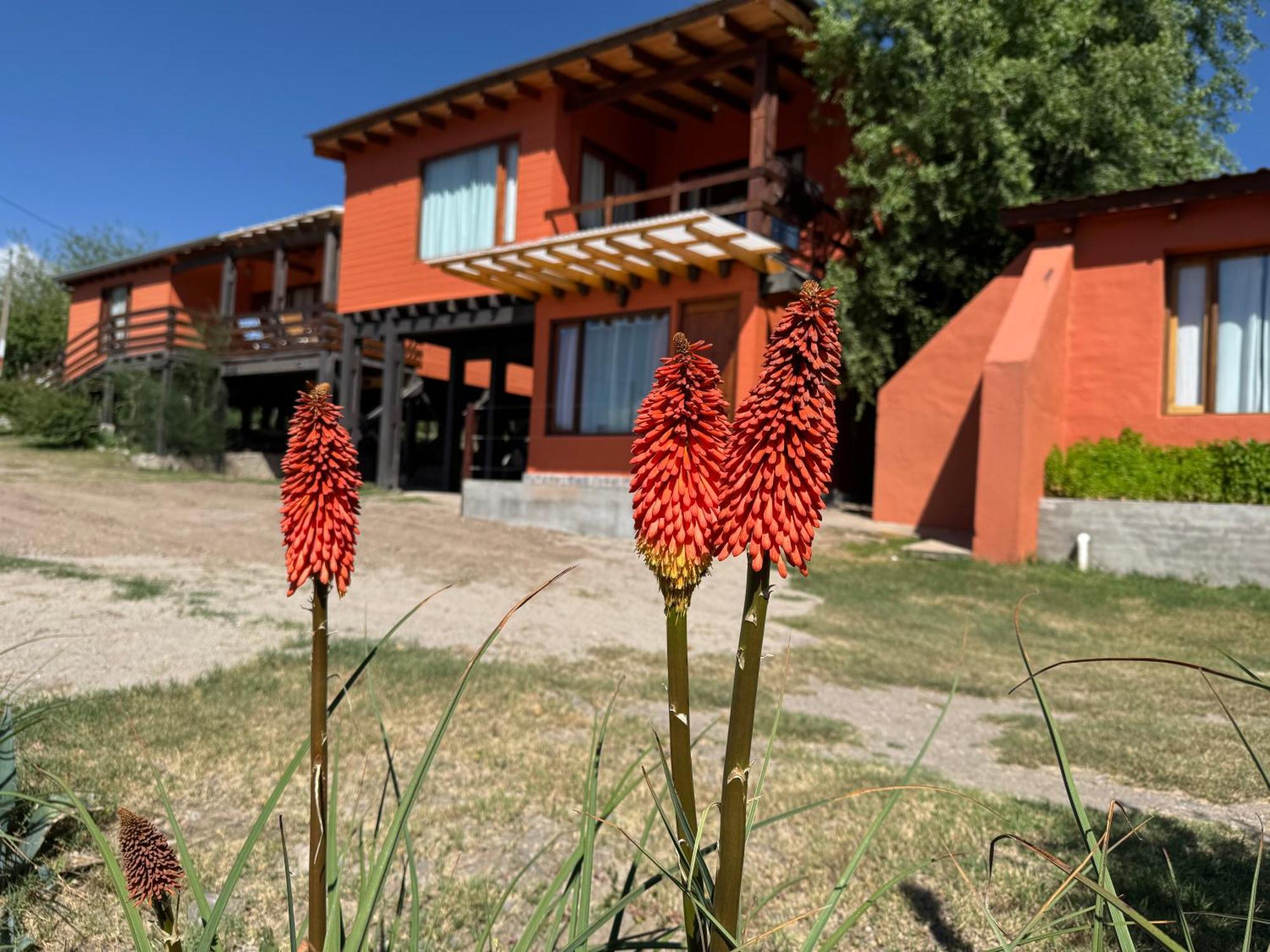 Cabana El Churqui Tafí del Valle Exterior foto